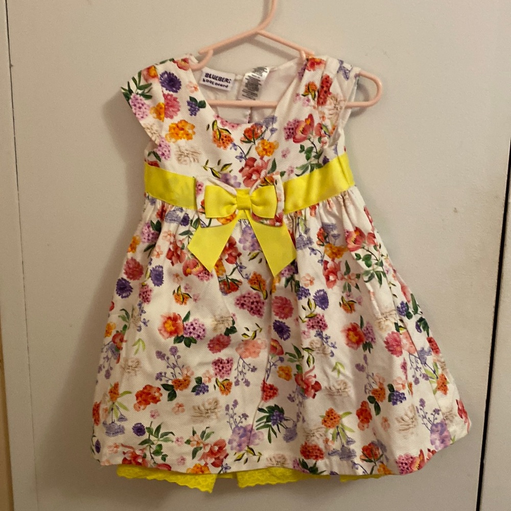 Blueberi  boulevard dress nwt